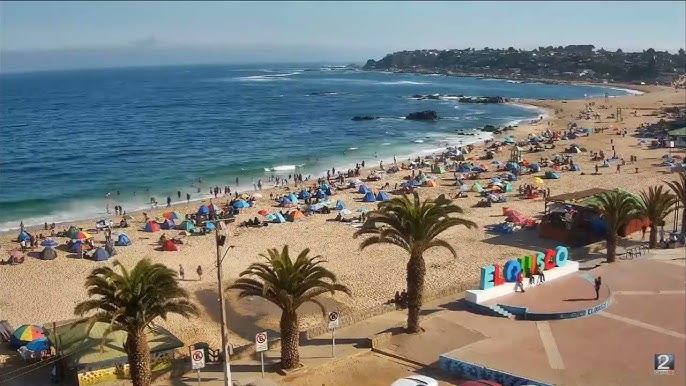 ARVI en El Quisco - Verano 2026